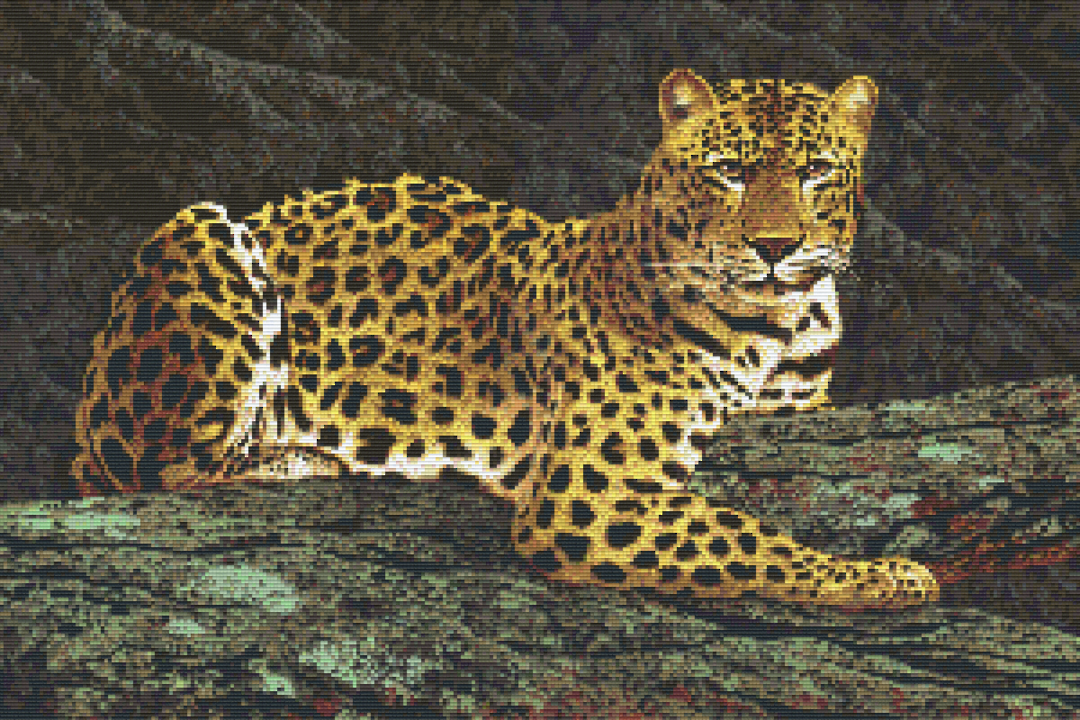 Leopard Thirty [30] Baseplate PixelHobby Mini-mosaic Art Kit image 0
